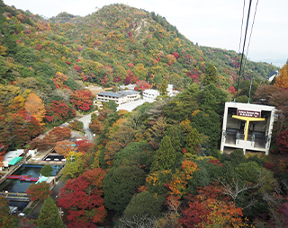眼下に広がる有馬方面の紅葉